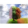 Four Seasons Dream Landscape Tree 5d Diy Diamond Painting Kits UK KN80145