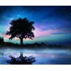 2019 Dream Landscape Tree Sky 5d Diamond Painting Cross Stitch Kits UK VM8303