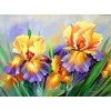 Rhinestone Oil Painting Style 2019 Flower 5d Diy Diamond Painting Kits UK VM8681