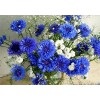 For Beginners Hot Sale Blue Diy 5d Embroidery Kits Flower UK VM3621