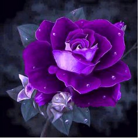 Pretty Purple Rose Diamond Painting Kits UK AF9308
