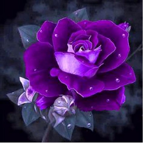 Pretty Purple Rose Diamond Painting Kits UK AF9308