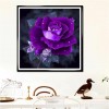 Pretty Purple Rose Diamond Painting Kits UK AF9308