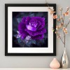 Pretty Purple Rose Diamond Painting Kits UK AF9308