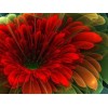 Colors Abstract Flower Full Drill 5D DIY Diamond Painting VM92322