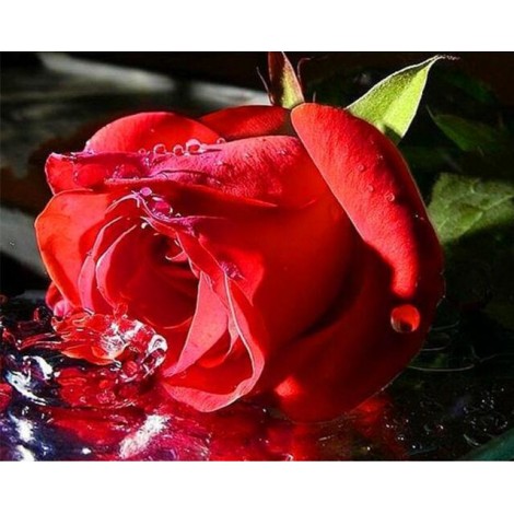 New Red Rose Full Drill 5D DIY Diamond Painting Kits UK VM92184