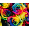 2019 Special Wall Decor Colorful Flower 5d Diy Diamond Painting Kits UK VM7435