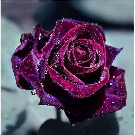 Rose Flower Full Drill 5D DIY Diamond Painting Kits UK VM92255