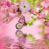 2019 New Hot Sale Flower Butterfly 5d Diy Diamond Painting Kits UK VM38520