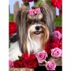 2021 Cute Dog 5d Diy Diamond Painting Kits UK VM3659