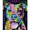 2019 Special Colorful Dog 5d Diy Full Square Diamond Painting Kits UK VM9826