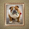 Hot Sale Best Pet Dog Diy 5d Full Diamond Painting Kits UK QB5476