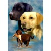 Best Oil Painting Style Pet Dog Diy 5d Full Diamond Painting Kits UK QB05493