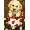 2019 Best Cartoon Pet Dog Embroidery Diy 5d Full Diamond Painting Kits UK QB5443