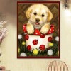 2019 Best Cartoon Pet Dog Embroidery Diy 5d Full Diamond Painting Kits UK QB5443
