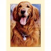 Best Modern Art Style Pet Dog Diy 5d Full Diamond Painting Kits UK QB5487
