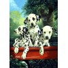 Hot Sale Best Oil Painting Style Pet Dog Diy 5d Full Diamond Painting Kits UK QB5458