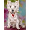 Best Modern Art Style Pet Dog Diy 5d Full Diamond Painting Kits UK QB5486