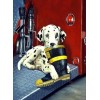 2019 Best Oil Painting Style Pet Dog Diy 5d Full Diamond Painting Kits UK QB5457