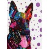 New Best Special Pet Dog Embroidery Diy 5d Full Diamond Painting Kits UK QB5437