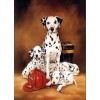 Best Oil Painting Style Pet Dog Diy 5d Full Diamond Painting Kits UK QB5456