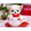 Cute Dog In The Cup Full Drill 5D Diy Diamond Painting Kits VM90828