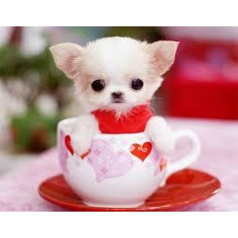Cute Dog In The Cup Full Drill 5D Diy Diamond Painting Kits VM90828