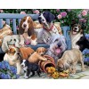 2019 Full Drill 5D DIY Diamond Painting All Dogs Are Friend Cross Stitch VM90174