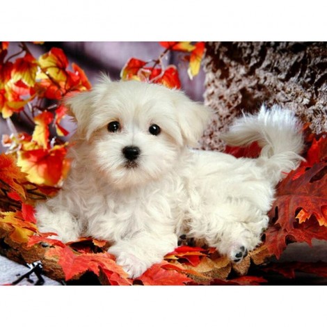 New Arrival Hot Sale Rhinestone Cute Dog 5d Diy Diamond Painting Kits UK VM8669
