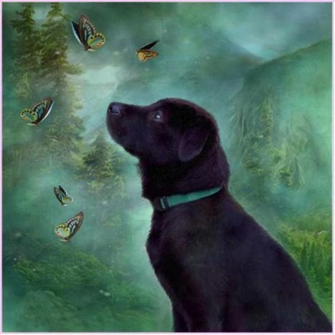 Dog 5D Diy Diamond Painting Kits Uk KN80126