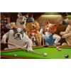 New Arrival Hot Sale Pet Cute Dog Pattern 5d Diy Diamond Painting Kits UK VM9617
