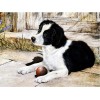 New Arrival Hot Sale Dog Home Decoration 5d Diy Diamond Painting Kits UK VM09674