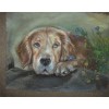 Mosaic Dog Wall Decor 5d Diy Diamond Painting Kits UK VM9884
