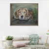 Mosaic Dog Wall Decor 5d Diy Diamond Painting Kits UK VM9884