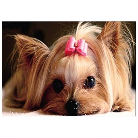 2019 Best Pet Dog Diy 5d Full Diamond Painting Kits UK QB5482