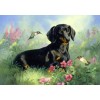 Best Oil Painting Style Pet Dog Diy 5d Full Diamond Painting Kits UK QB5471