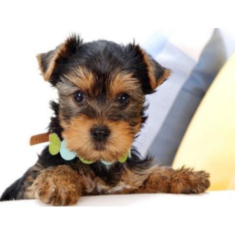 Hot Sale Cute Dog Best Birthday Gift 5d Diy Diamond Painting Kits UK VM7366