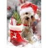 New Arrival Hot Sale Cute Dog Fast Delivery 5d Diy Diamond Painting Kits UK VM96254