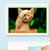 Hot Sale Cut Cats Portrait Diy 5d Rhinestone Art Kits UK VM97485