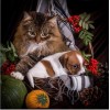 New Pet Car Dog Diy 5d Full Diamond Painting Kits UK QB5480