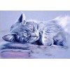 2019 New Hot Sale Cat 5d Diy Cross Stitch Full Diamond Painting Kits UK QB7007