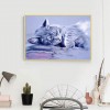 2019 New Hot Sale Cat 5d Diy Cross Stitch Full Diamond Painting Kits UK QB7007
