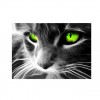 New Special Cat Pattern 5d Diy Cross Stitch Full Diamond Painting Kits UK QB7084