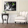 New Special Cat Pattern 5d Diy Cross Stitch Full Diamond Painting Kits UK QB7084