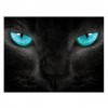 2019 Dream Cat 5d Diy Cross Stitch Diamond Painting Kits UK QB7068