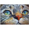 2019 Hot Sale Cat Face 5d Diy Embroidery Cross Stitch Diamond Painting Kits VM0002