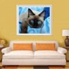 2019 New Hot Sale Pet Cat Picture 5d Diy Diamond Painting Kits UK VM07252