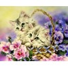 2019 Hot Sale Wall Decor Pet Cat Portrait 5d Diy Diamond Painting Kits UK VM7444