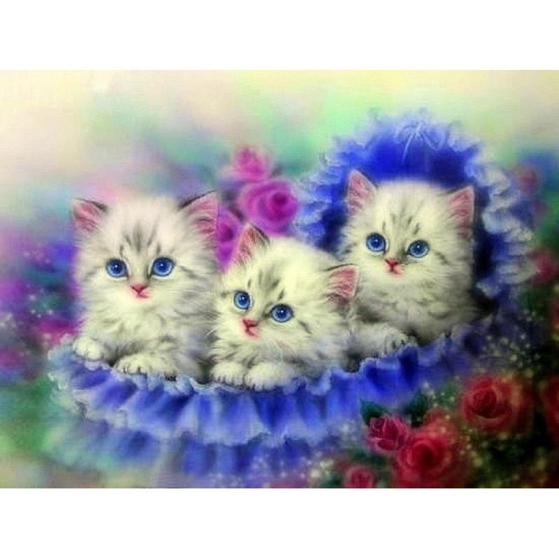 Cute Cats Portrait 2...