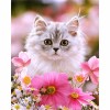 2019 5D DIY Diamond Painting Cute Cat Embroidery Cross Stitch Home Decor VM90023